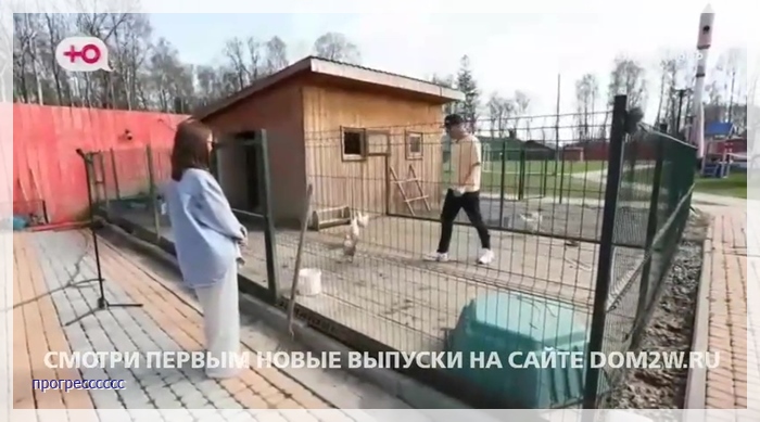 https://i6.imageban.ru/out/2025/04/26/b82891f5d133b3b56d0698f2bbfb80e0.jpg
