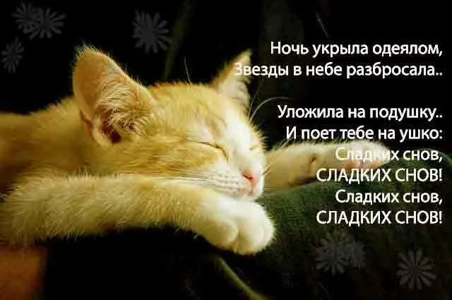 https://i6.imageban.ru/out/2025/04/30/a7369a67a4946607381dc322d9e58534.webp