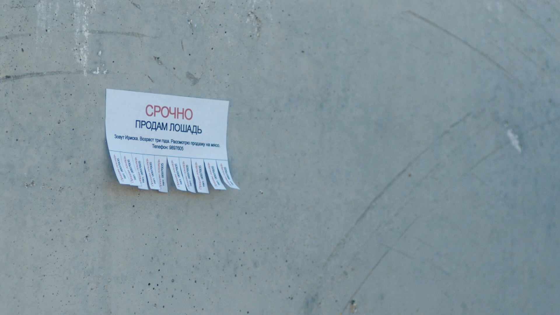 01. Сердце степей.2025.WEB-DL 1080p.Files-x.mkv_snapshot_27.04.png