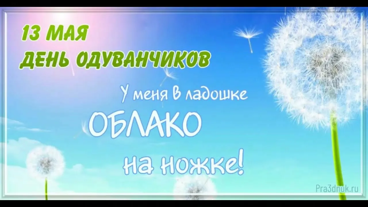 https://i6.imageban.ru/out/2025/05/13/067b3b726b97a8c951e4e1e0be76dca1.webp