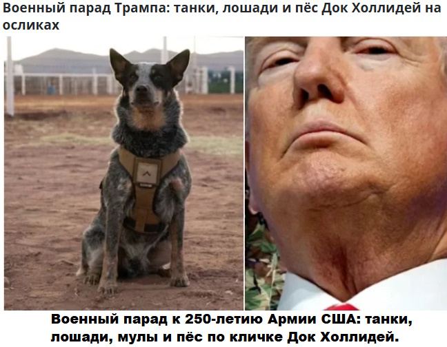 https://i6.imageban.ru/out/2025/05/24/48c189d59f8d4795c60ee0c10be3457e.jpg