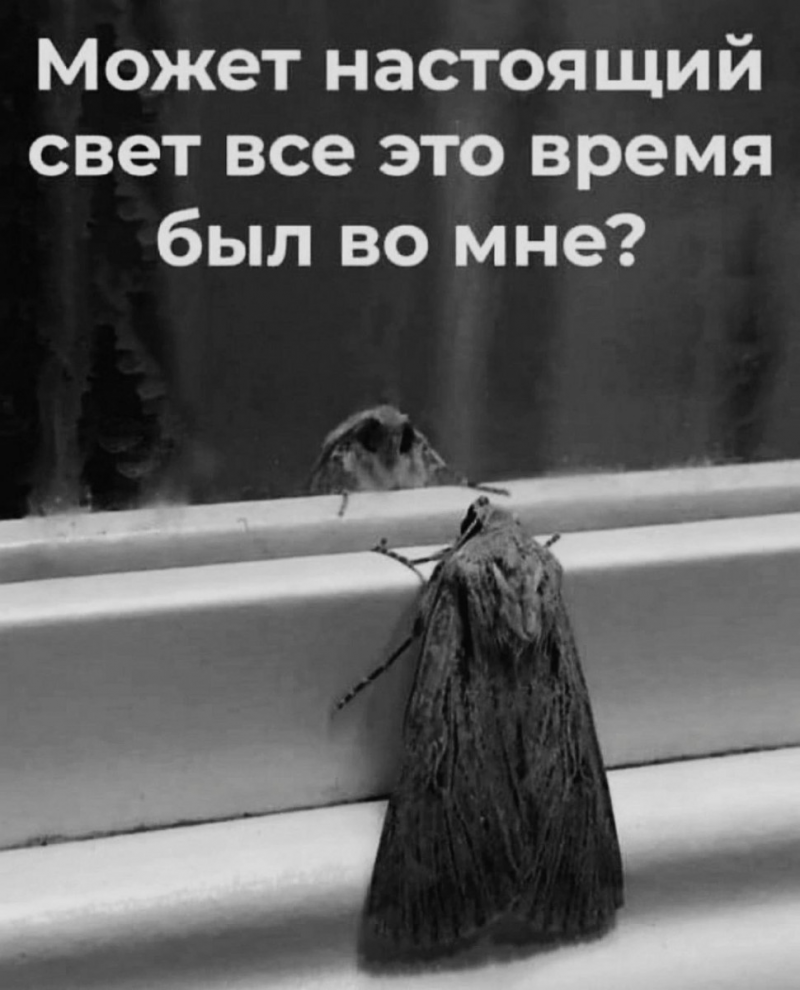 изображение_2025-06-06_201920501.png