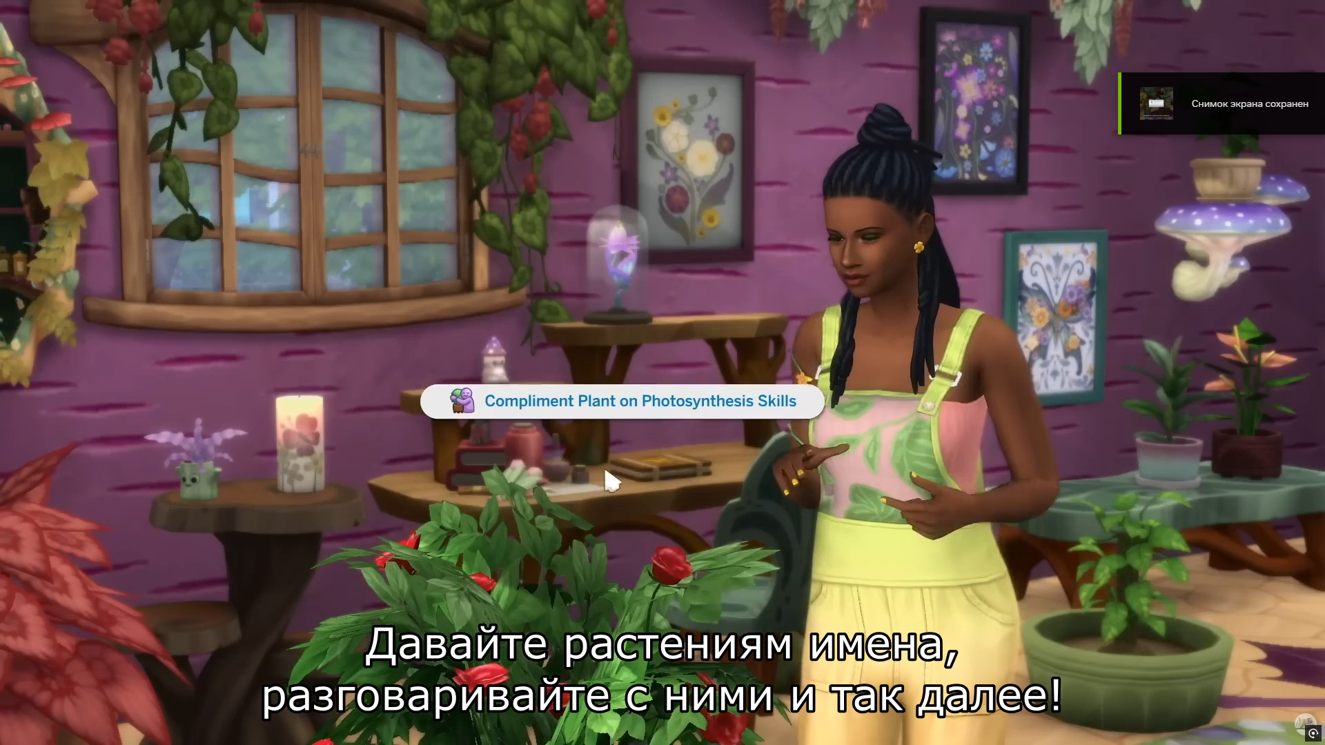 dadf9771c60005646522bdb5ed0e7ab6.png