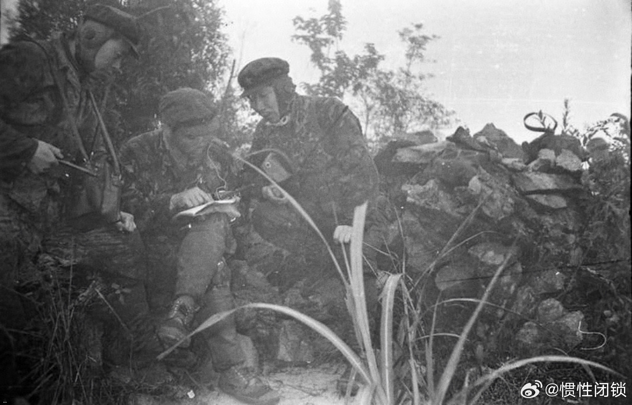 ?3????1???????????   202507047.jpg