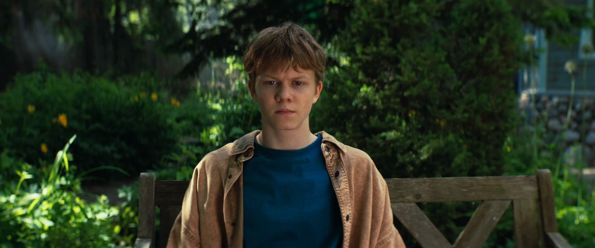      (2025) WEB-DL 1080p (    )