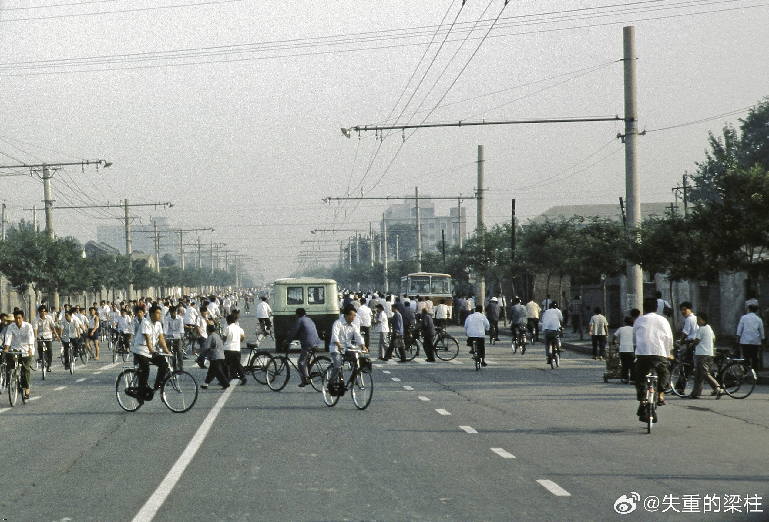 1980·??  202508138.jpg