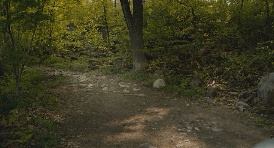 Саван (2024) WEB-DLRip-AVC_ivanes.mkv_20250821_162021.792.png