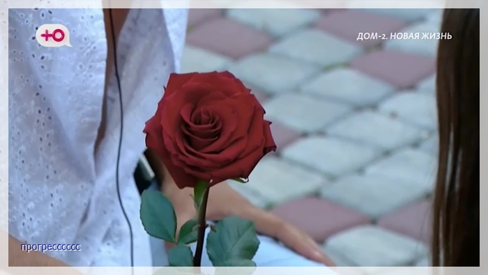 https://i6.imageban.ru/out/2025/08/22/5b0424078ddba33e265593f5f841ef3e.jpg