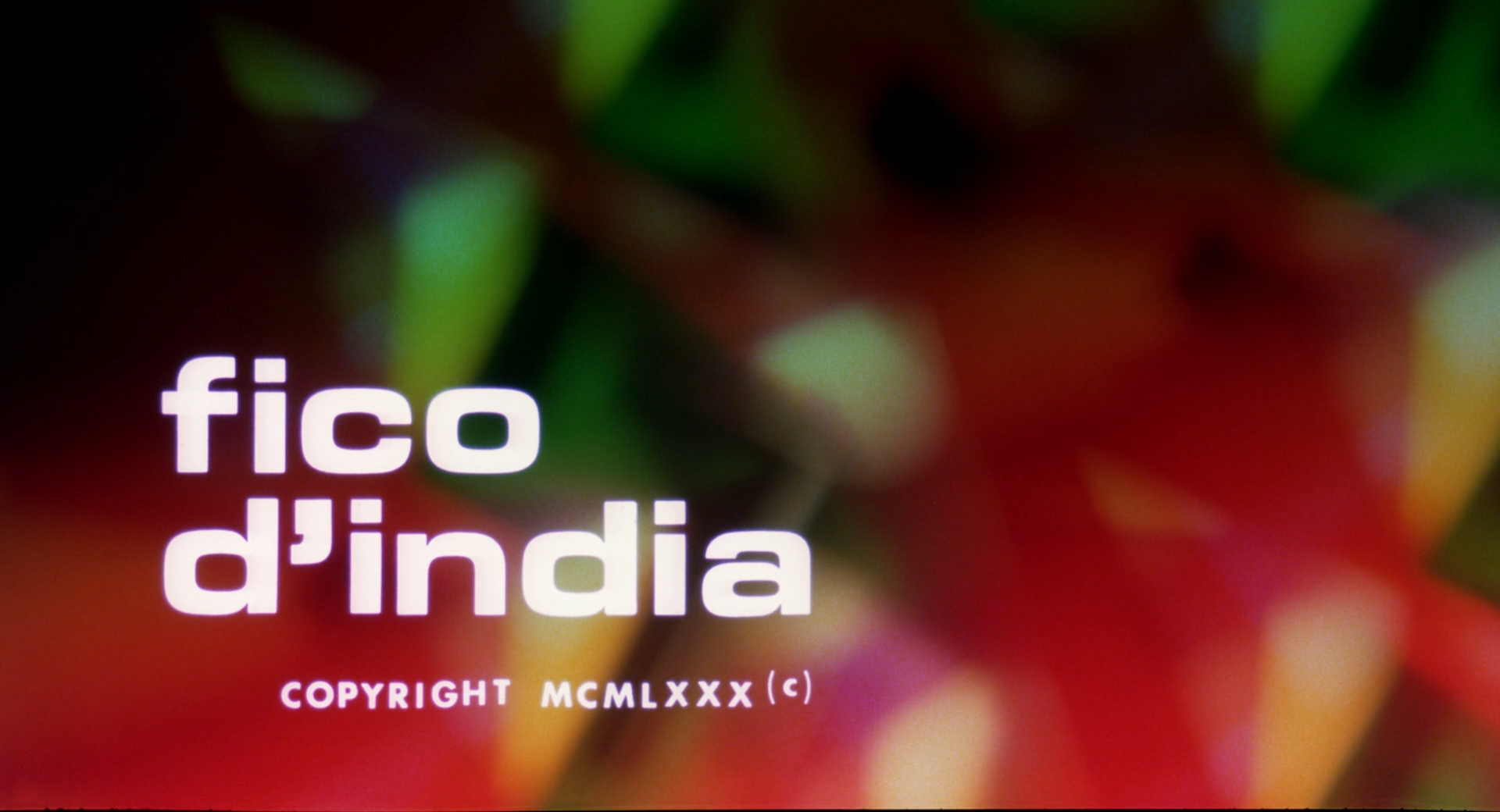 Fico d'India000775.png