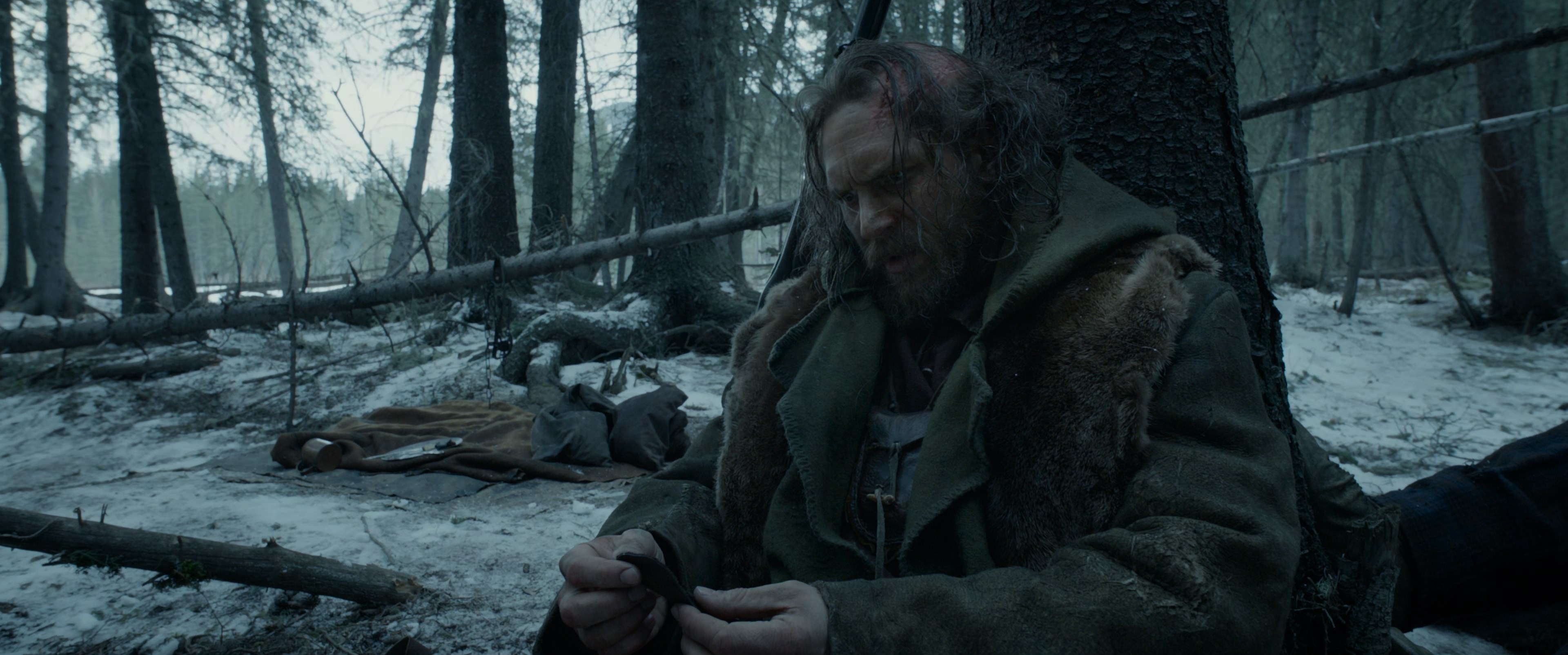 The Revenant (2015) BDRip 2160p-NVENC 10 bit [HDR].mkv_snapshot_00.43.12.590.jpg
