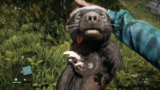 Far Cry 4: Gold Edition [v 1.12 + DLCs] (2014) PC | Repack by Wanterlude