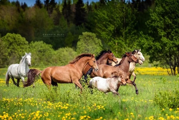 https://i6.imageban.ru/out/2025/08/31/bea22aede8be34fb9e31ec6f8e98b3a5.webp