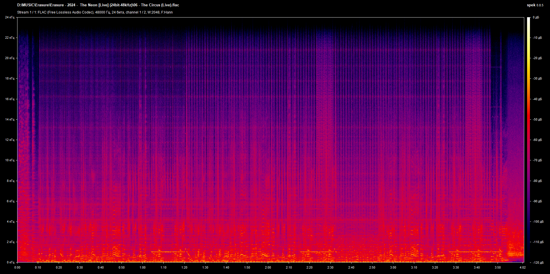 06 - The Circus (Live).flac.png