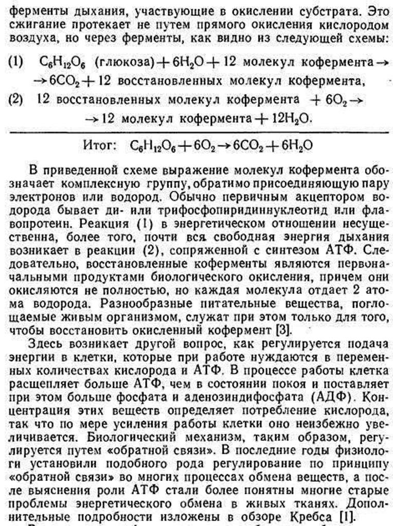 https://i6.imageban.ru/out/2025/09/01/4a8af8a2b27f28cf3bdf34b843ccb073.jpg