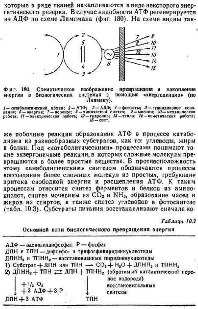 https://i6.imageban.ru/out/2025/09/01/ab9c194282e86b84780eb8f6557ada24.jpg