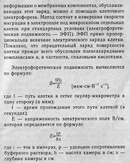 https://i6.imageban.ru/out/2025/09/02/feca0abe1df96adf612b180198b1a090.jpg