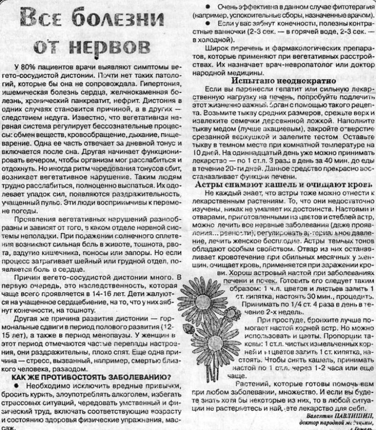 https://i6.imageban.ru/out/2025/09/03/25d90d384fb20cd0d934abc8836540d4.jpg
