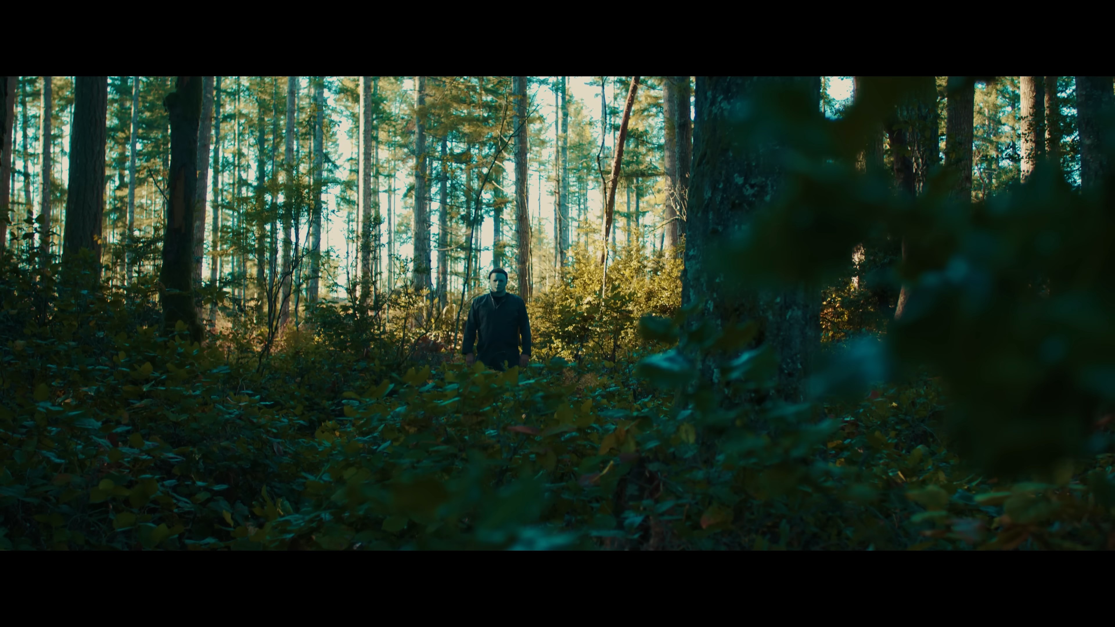 Jason Voorhees Awaken the Darkness.mkv_snapshot_00.22.15.334.jpg