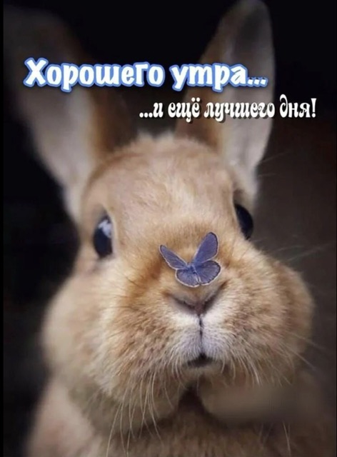 https://i6.imageban.ru/out/2025/09/09/7495c875eff8693b6765bc2db386ebda.jpeg