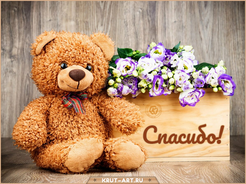 https://i6.imageban.ru/out/2025/09/14/5baad2a24a52ab03816042ec5e5ef101.jpeg
