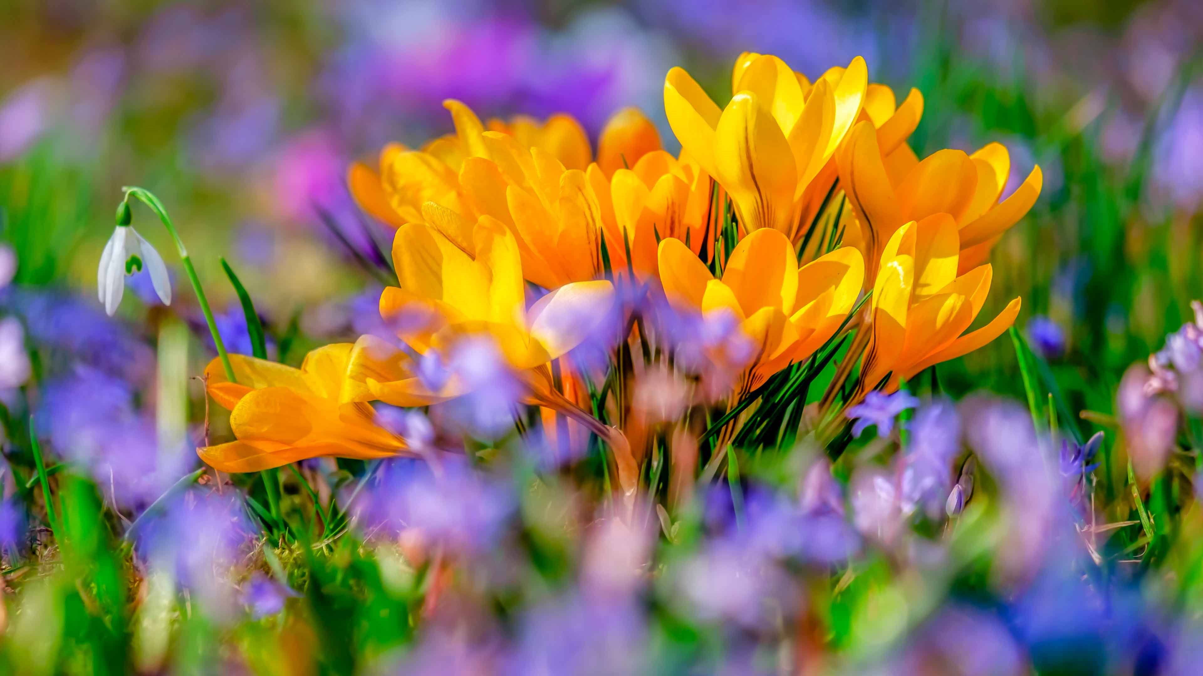 Клик для увеличения