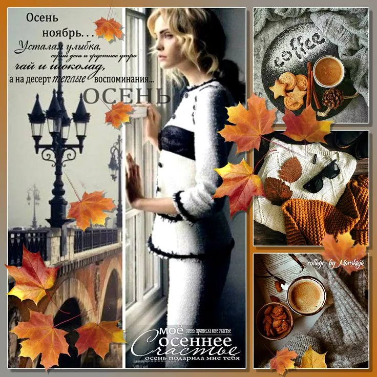 https://i6.imageban.ru/out/2025/10/07/0ce0e675e1db4ebb42c5b1ab3c97e12a.webp