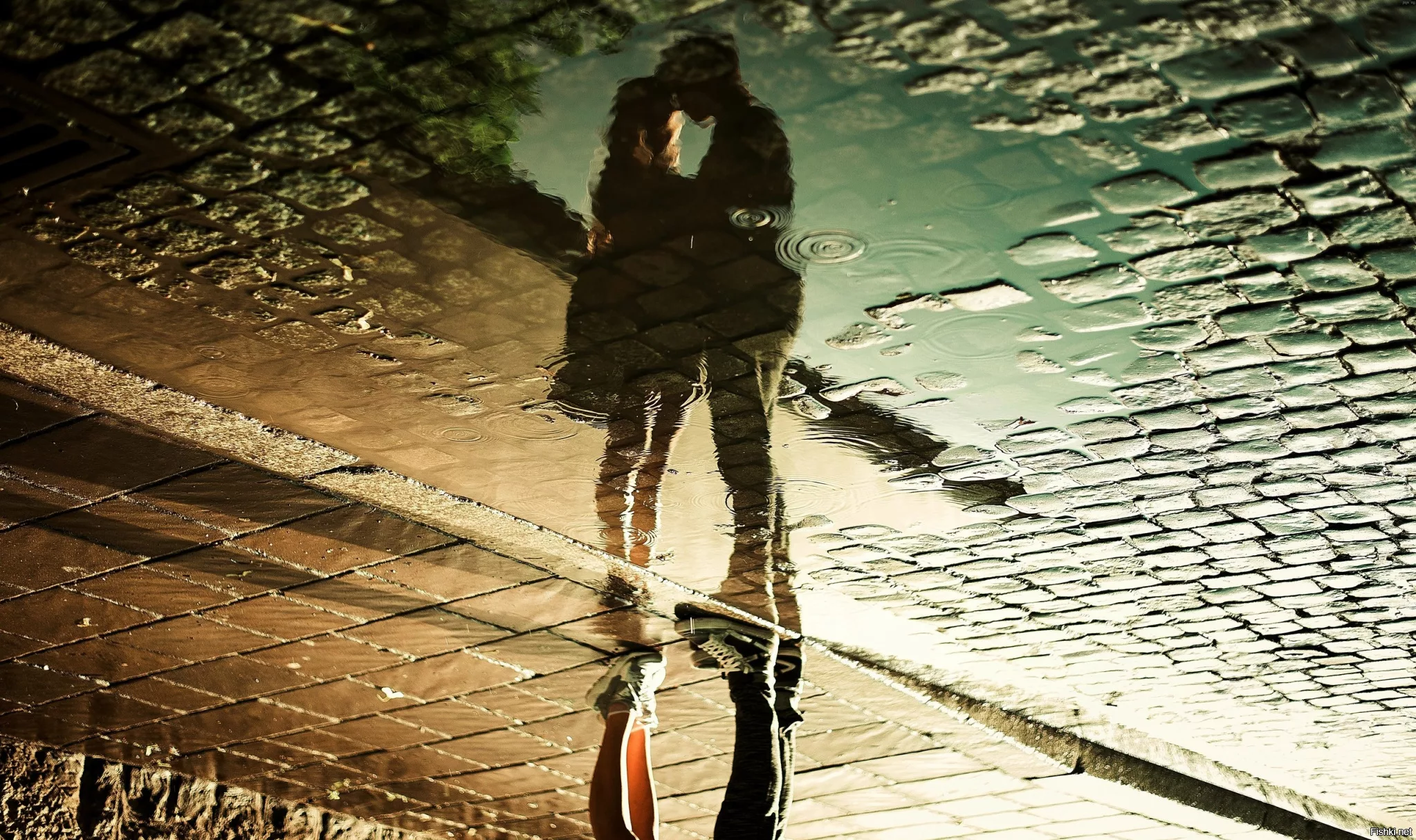 https://i6.imageban.ru/out/2025/10/09/0199b86390a12b288dd370946f7f8879.webp