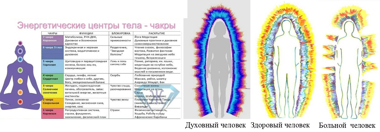 https://i6.imageban.ru/out/2025/10/16/d66013c01a4908633143020e2b911ebb.jpg