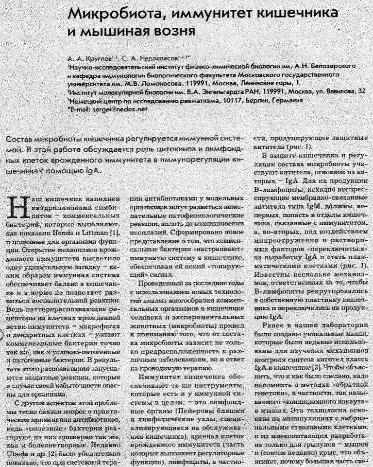 https://i6.imageban.ru/out/2025/10/20/ce97645cf78201a8ea855d09bf23515a.jpg