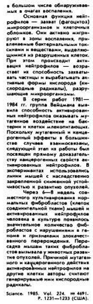 https://i6.imageban.ru/out/2025/10/23/a505d0315b2227a8d27927073e32aa3f.jpg