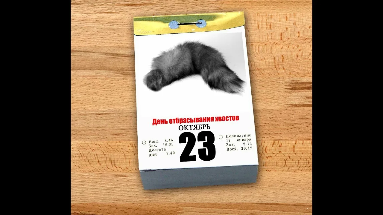 https://i6.imageban.ru/out/2025/10/23/f9fda646f37a9e3929e4be628712f043.webp