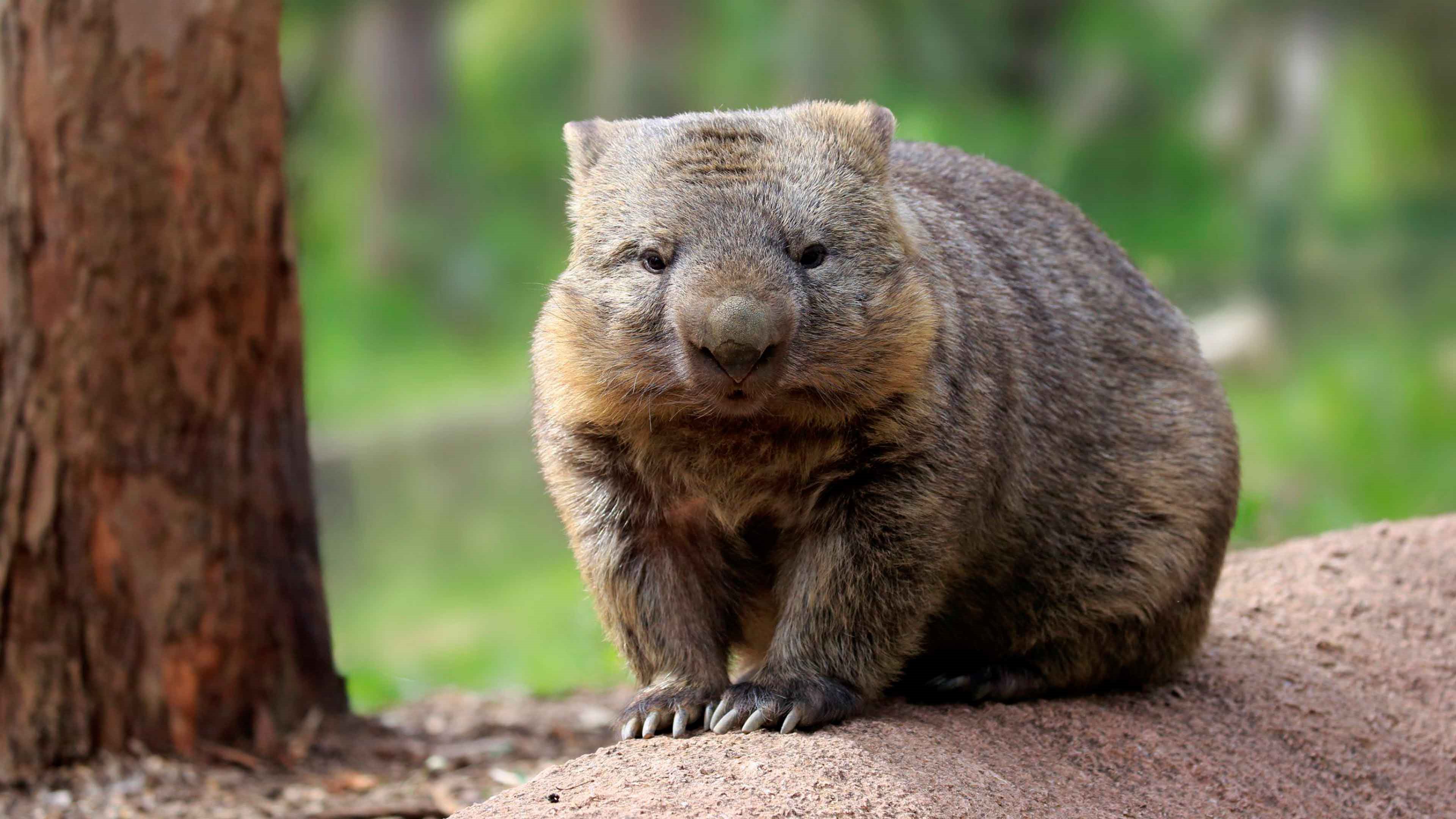 Клик для увеличения