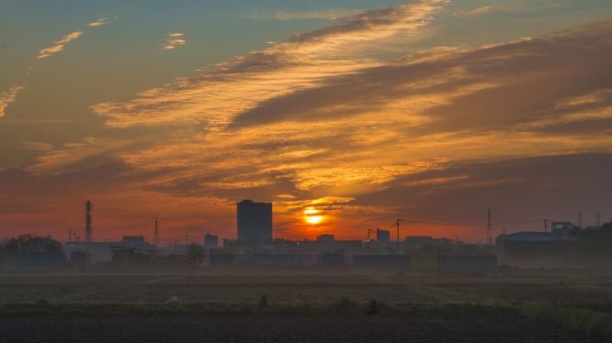 Два профессиональных стандарта вступят в силу с 1 марта 2026 года