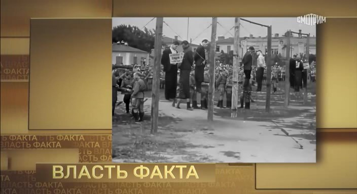     /   :   (2025) WEBRip (    )