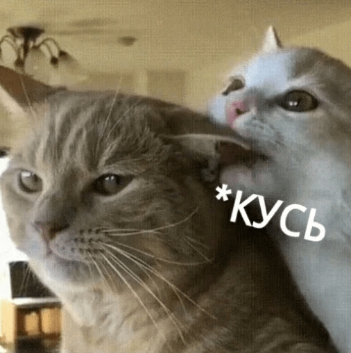 Скриншот 24-11-2025 171009.jpg