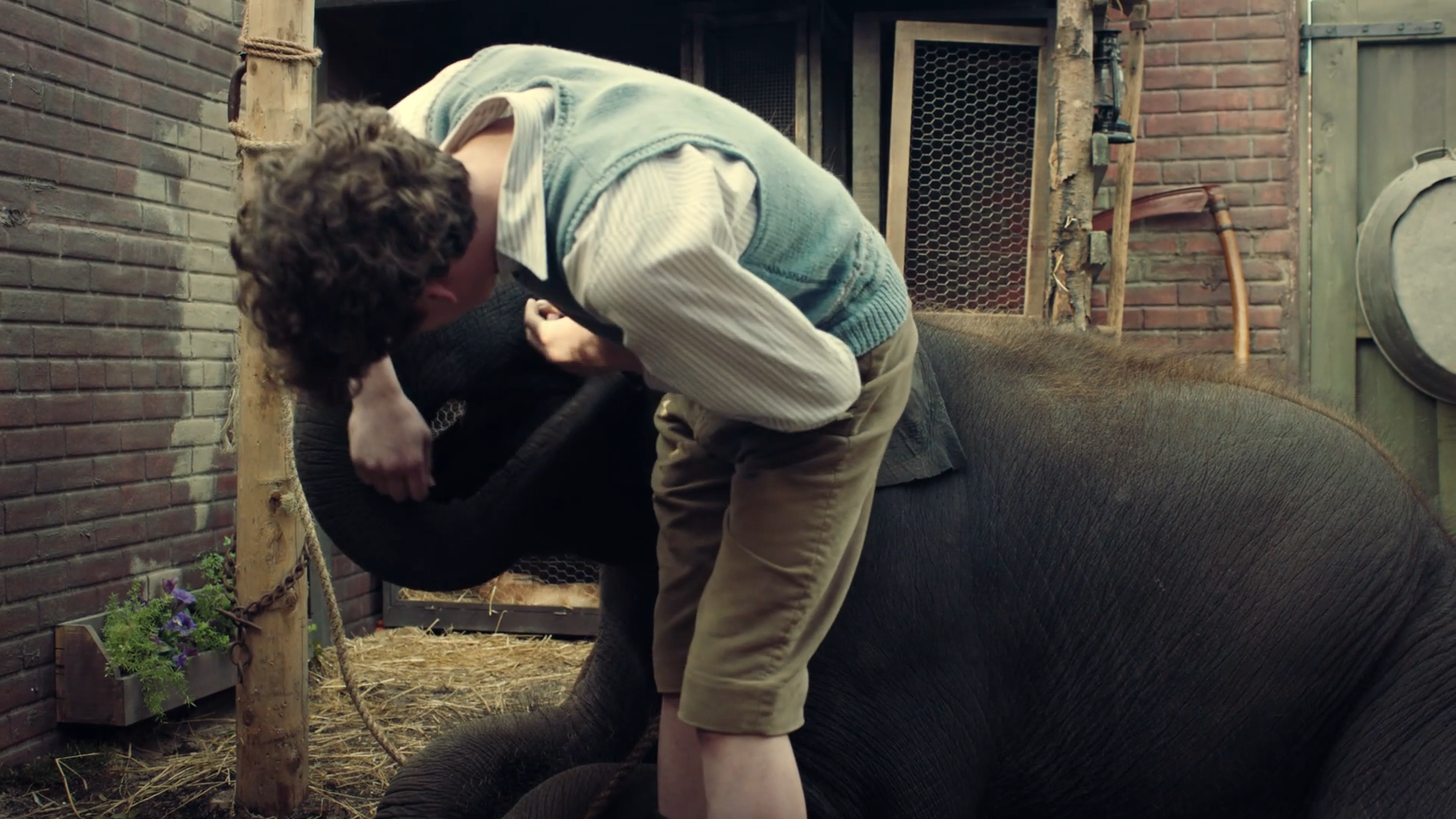 Zoo 2017 WEB-DL 1080p.mkv_snapshot_01.01.19.png