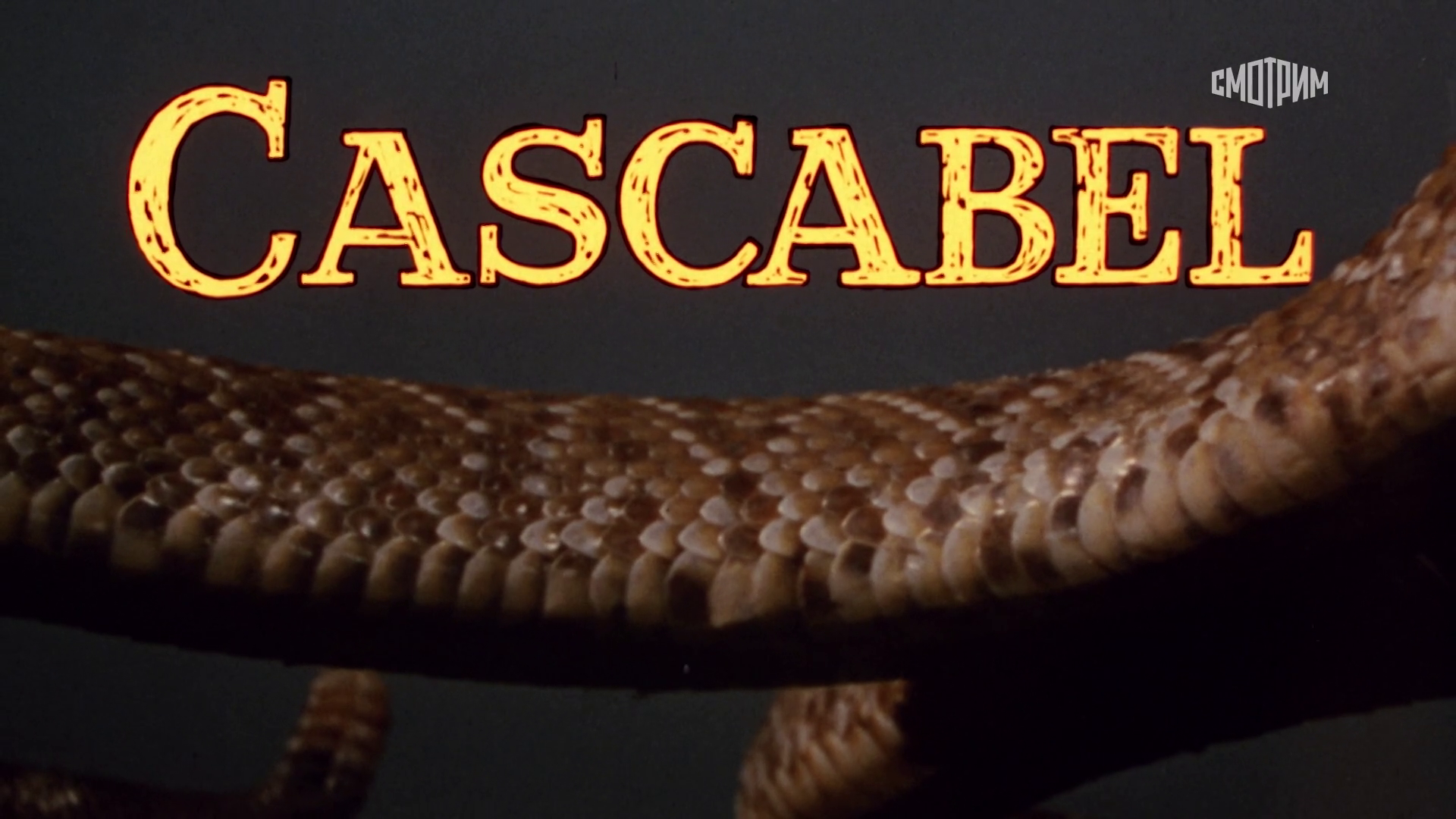 00. Заставка.png