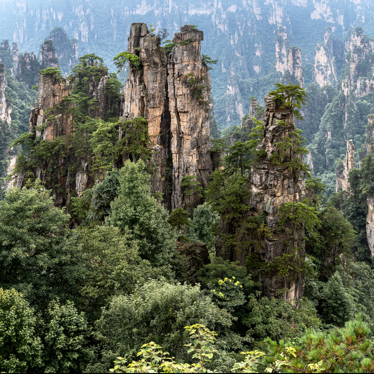 парящие горы Аватара.jpg