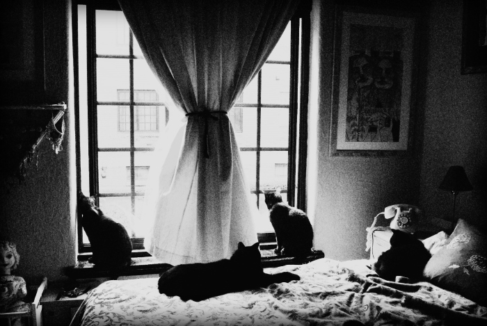 littles window 2 sm.jpg