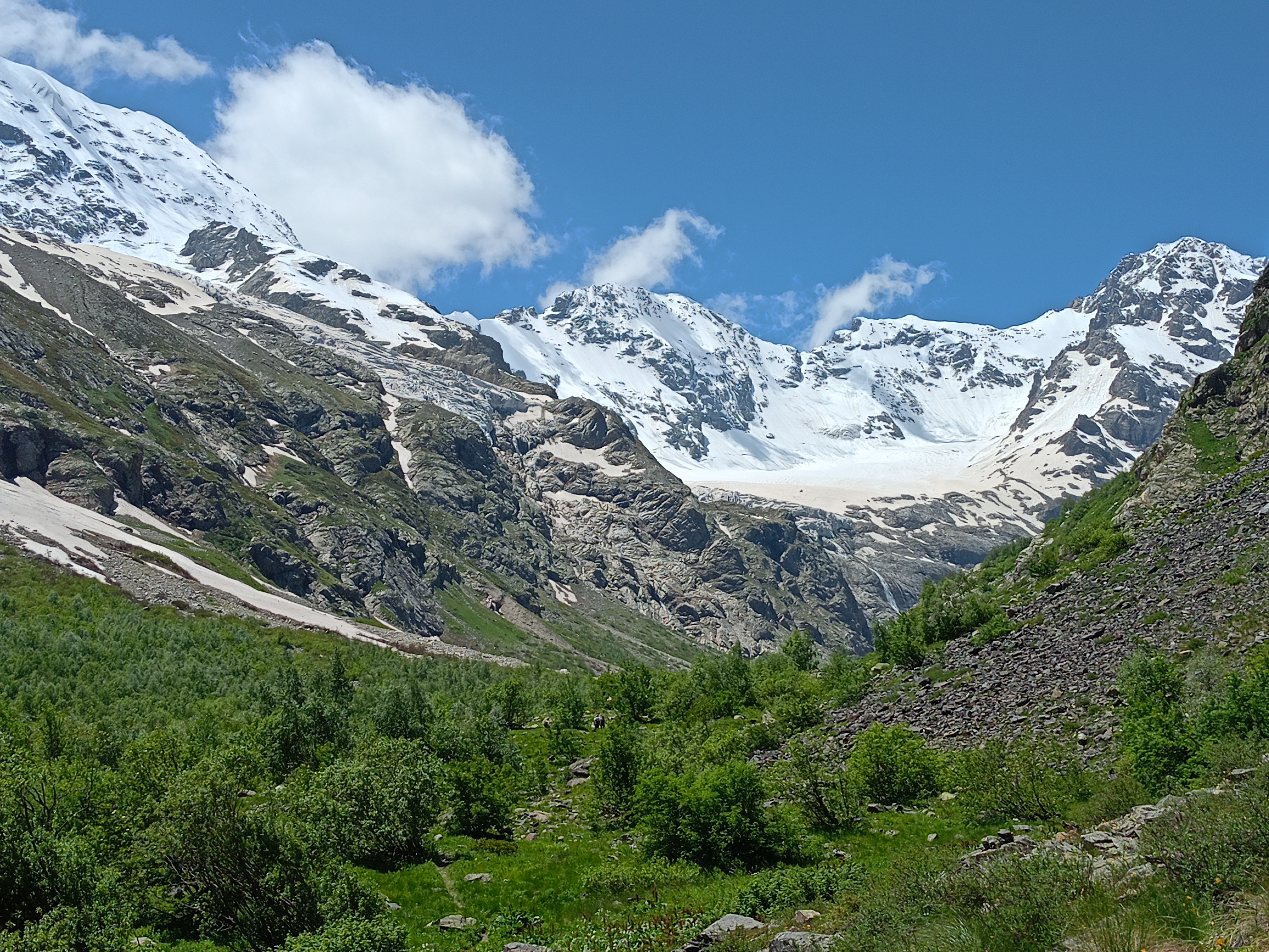 IMG20250620135632 — копия.jpg