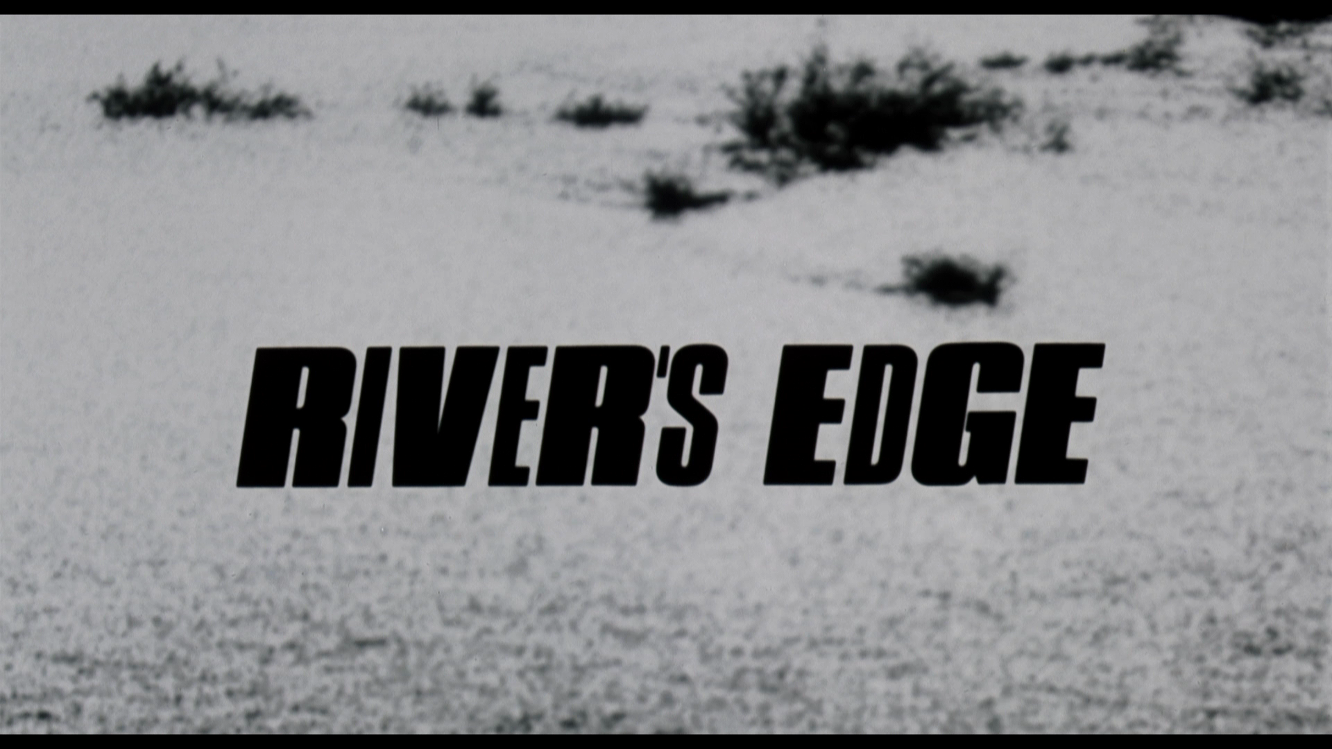 Rivers.Edge.1986.Camera.Obscura.BDRemux.1080p.mkv_20260118_153656.692.png