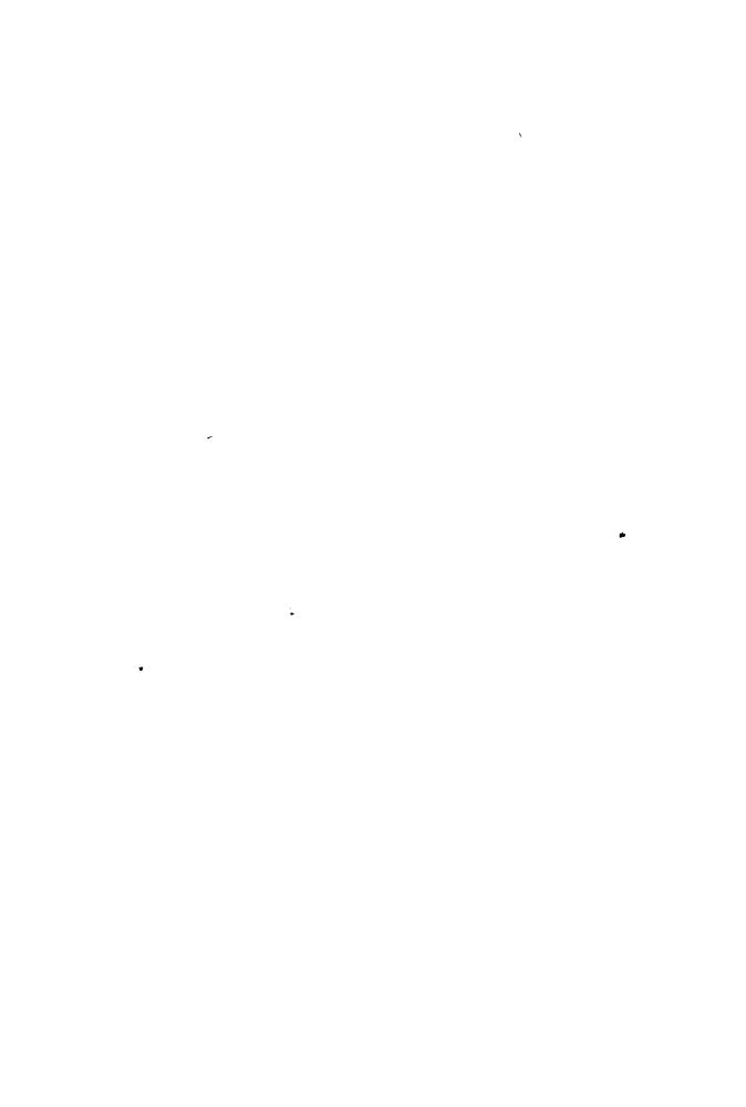 Леттов-Форбек, П. фон; Исаков И.  - Заморские театры Первой мировой войны (Военно-историческая библиотека) - 2003_pic5.jpg