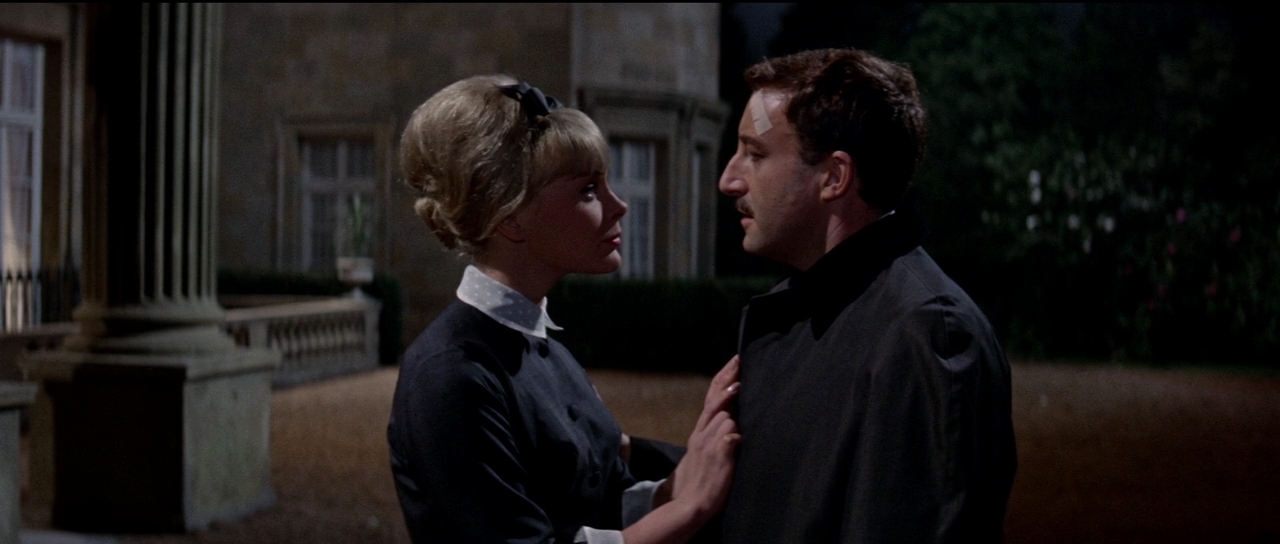 Выстрел в темноте.1964.BDRip 720p msltel.mkv_snapshot_01.41.05.867.jpg