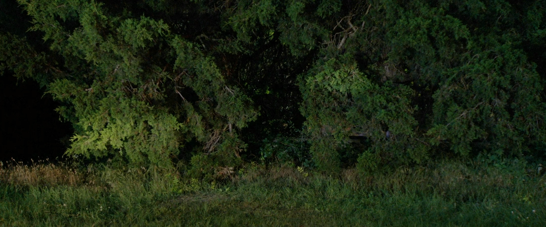 Охотник (2026) WEB-DLRip-AVC_ivanes.mkv_20260211_120511.723.png