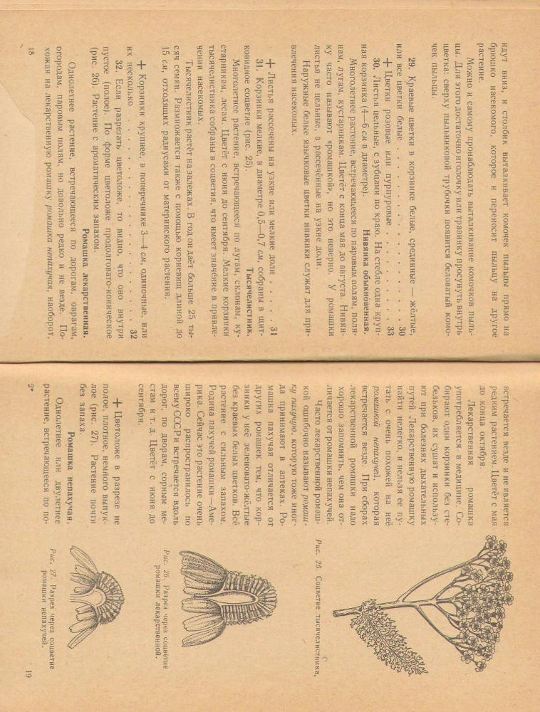 Иванова И. В. - Что растет вокруг тебя (1962)_pic10.jpg
