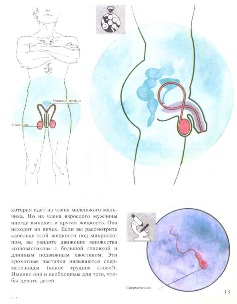 Верду К. и др. - Энциклопедия сексуальной жизни для детей 7-9 лет - 1990_pic15.jpg