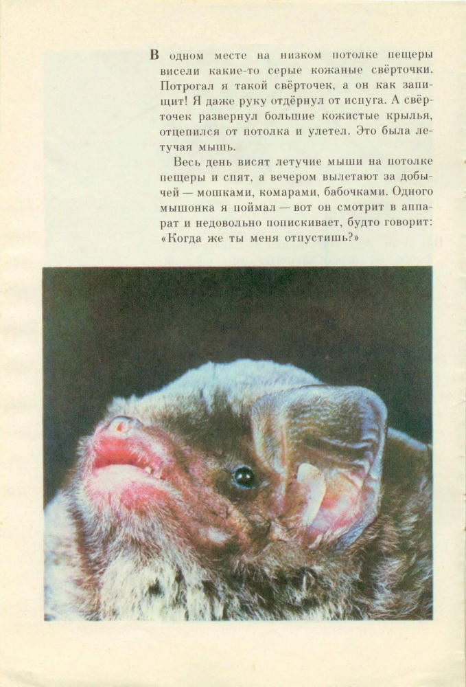 Танасийчук Виталий - Подземные дворцы (1981)_pic10.jpg