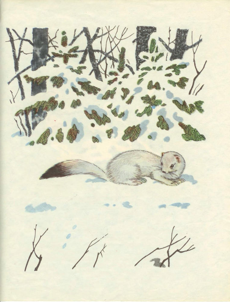 Юнатов Сергей - Зимой и летом (1974)_pic15.jpg