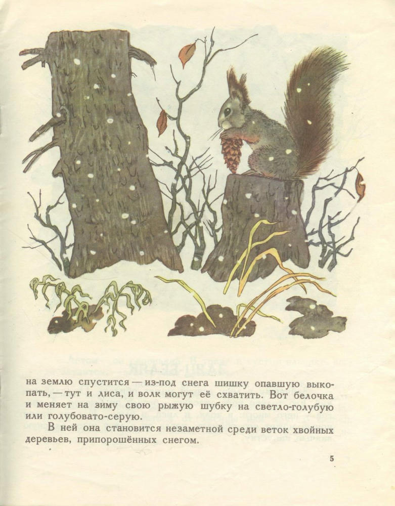 Юнатов Сергей - Зимой и летом (1974)_pic5.jpg
