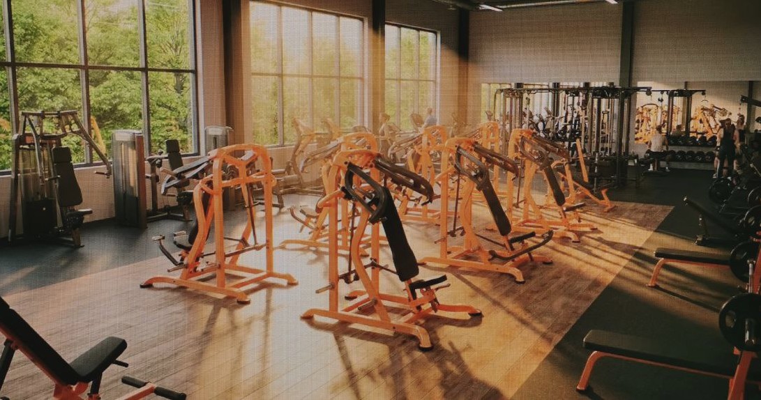 спортивные тренажеры Алфоджим испытания.jpg